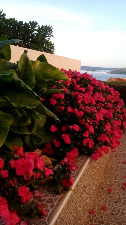 Apartments Blue Lagoon تروغير المظهر الخارجي الصورة